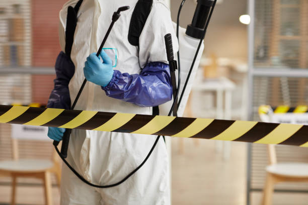 Professional Odor Removal technician working in Auburn, IN